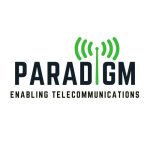 paradigm Logo original (1)
