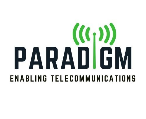 paradigm Logo original (1)
